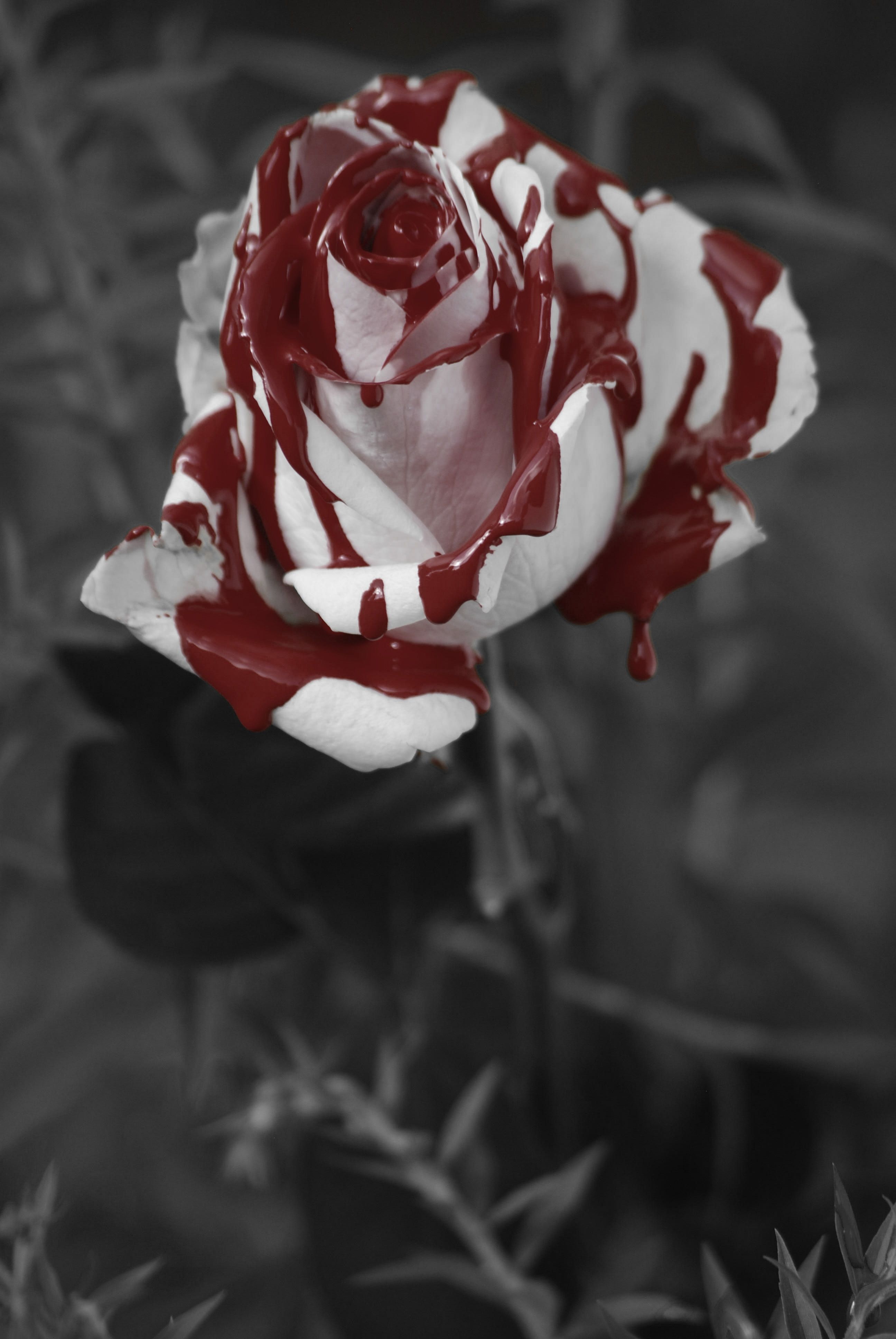 Painted Rose Porn running train on thot throating queen