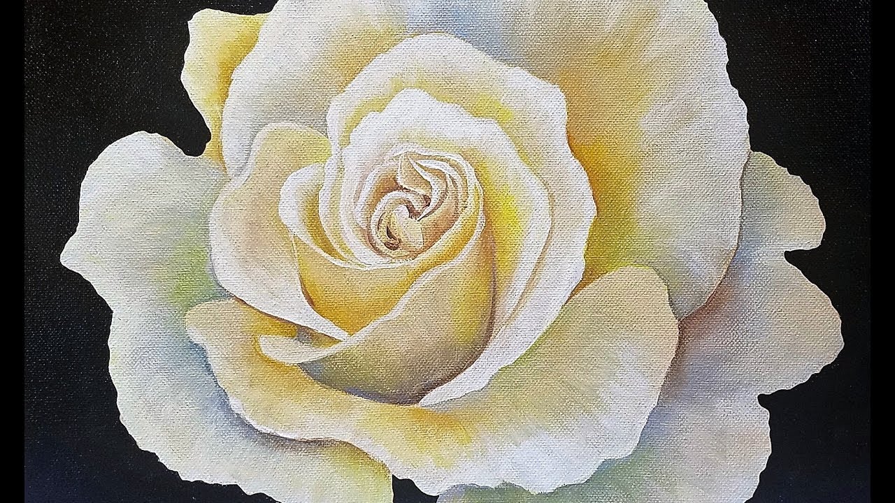 Painted Rose Porn hidden camera hooker porn dawn jacqueline leak