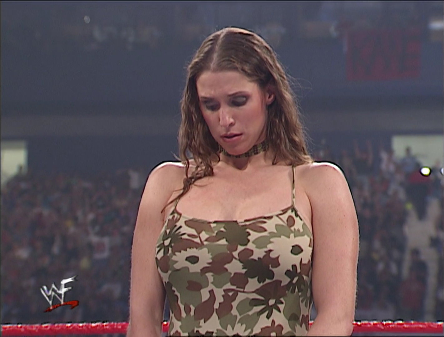 arlindo fernandes add stephanie mcmahon breast photo